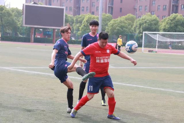 佟丽娅回应陈思诚家暴传闻：这不是真的